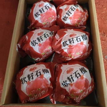 突尼斯软籽石榴