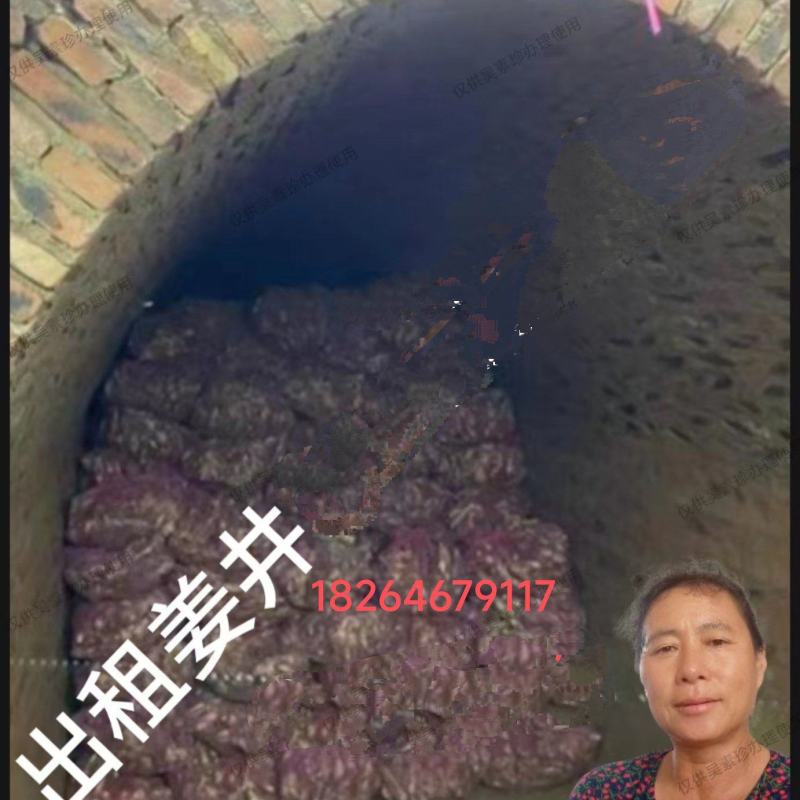 山东潍坊昌邑宏大市场附近出租姜井***********
