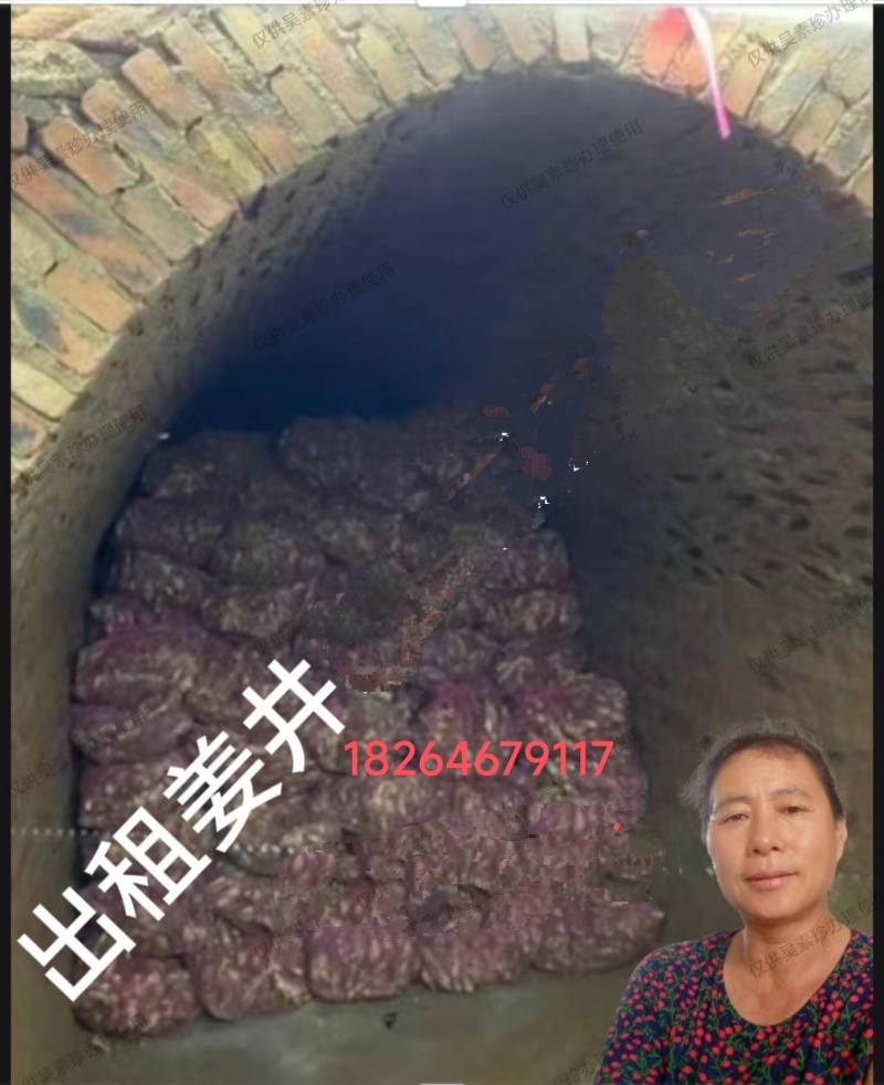 山东潍坊昌邑宏大市场附近出租姜井***********