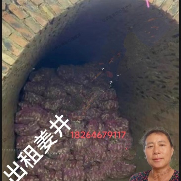 山东潍坊昌邑市西大营(宏大市场西300米)出租姜井