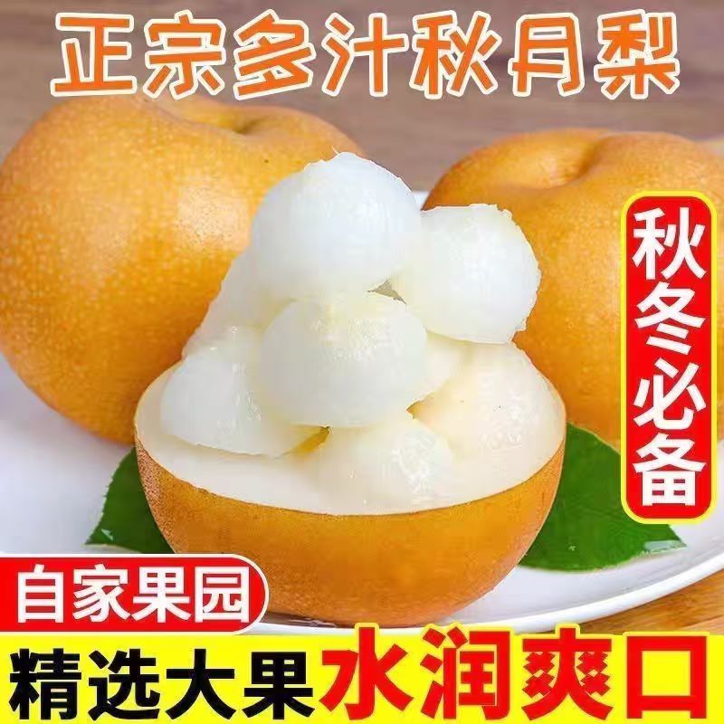 正宗巫山秋月梨