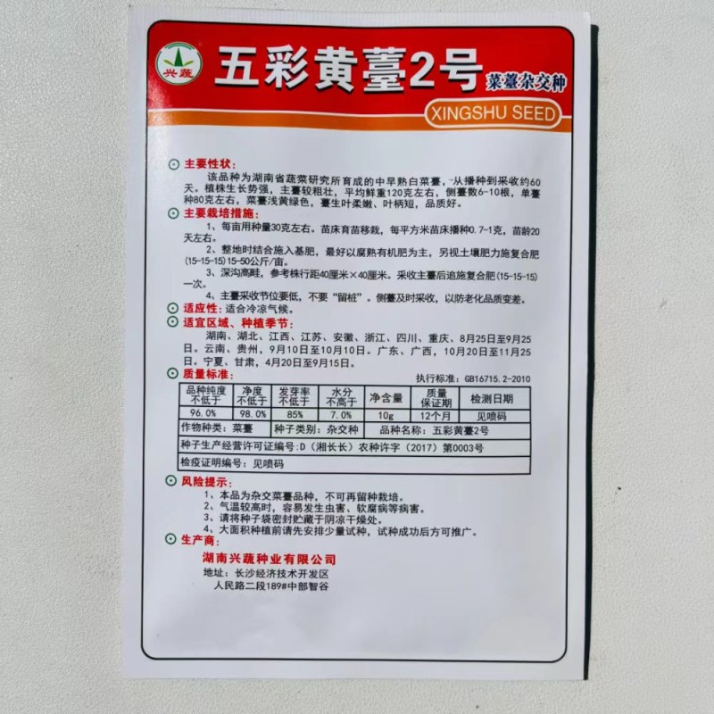 五彩黄苔2号菜苔种子黄绿菜苔种子色无腊粉外观佳早中熟甜嫩