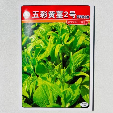 五彩黄苔2号菜苔种子黄绿菜苔种子色无腊粉外观佳早中熟甜嫩