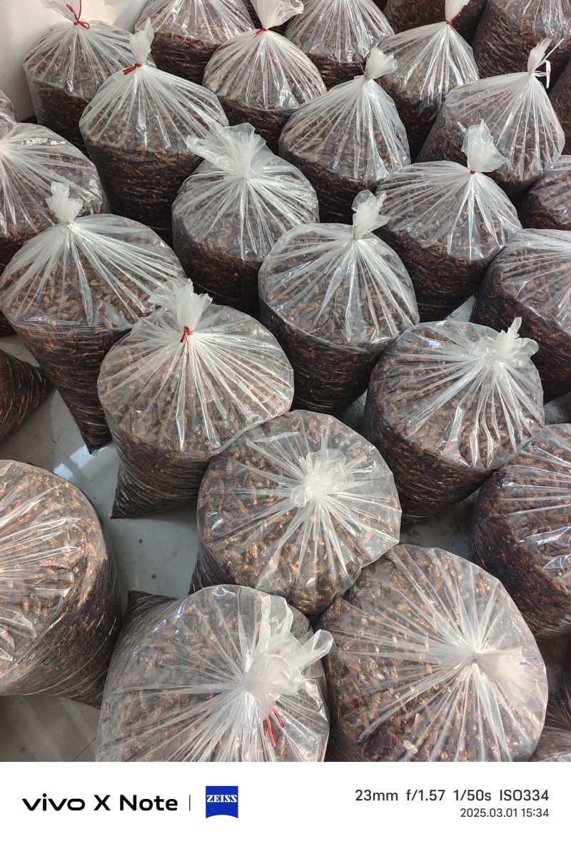 蟑螂干品，美洲大蠊干货打粉货，过检货，统货