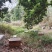 东方颜究生荔枝蜜、龙眼蜜