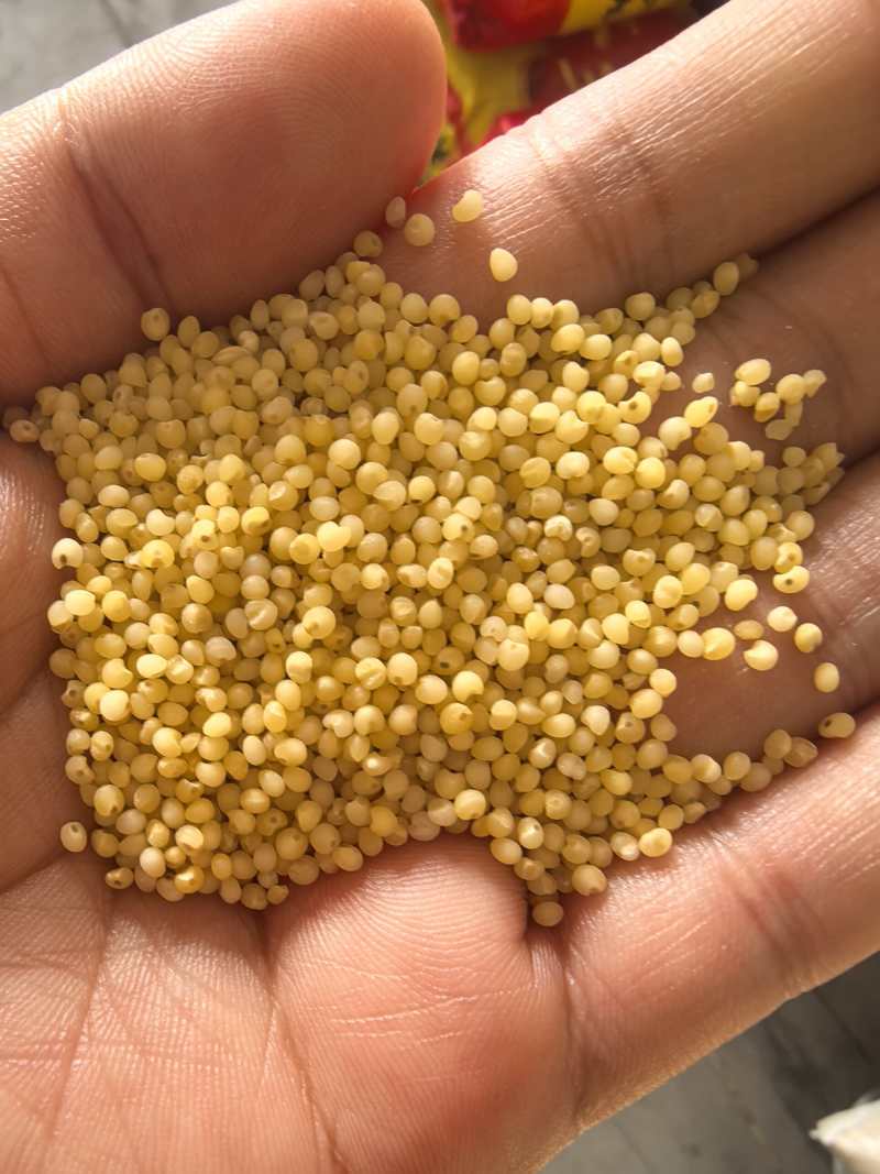沁州黄小米有货