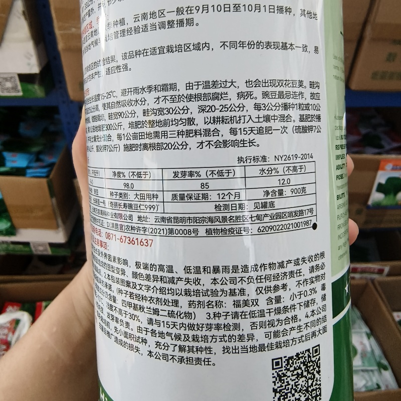 奇丽长寿仁豌豆仁种子高抗白粉病进口豌豆种纯度高基地种植