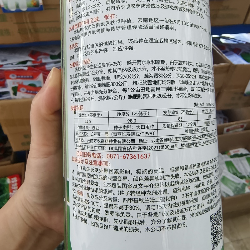 奇丽长寿仁豌豆仁种子高抗白粉病进口豌豆种纯度高基地种植