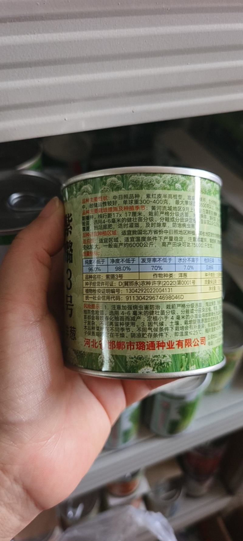 紫璐5号紫红皮洋葱种子耐寒抗病扁圆葱葱头球葱种籽大田种