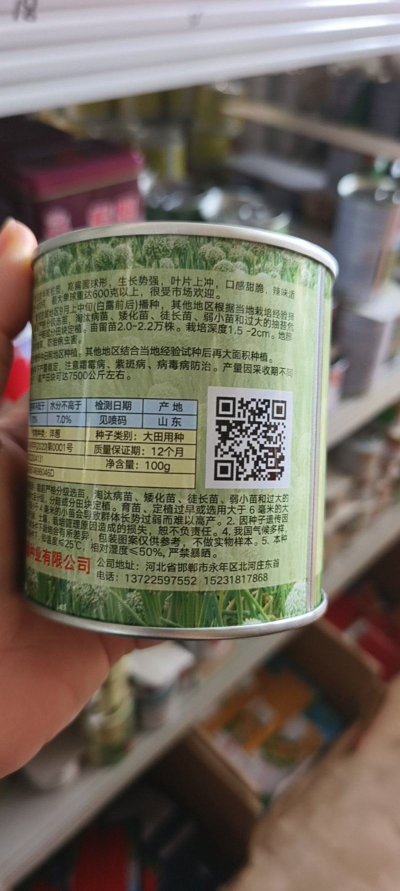 紫璐5号紫红皮洋葱种子耐寒抗病扁圆葱葱头球葱种籽大田种