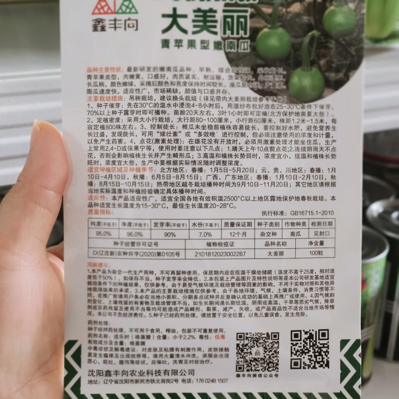 南瓜种子早熟口感好嫩黄肉小南瓜种子青苹果型嫩南瓜种子