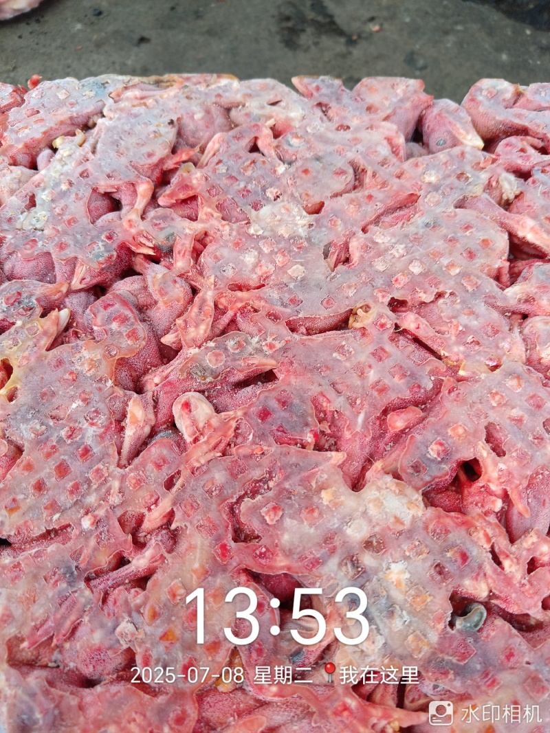 蛇饲料脱毛小鸡仔鸡肉，鸡毛