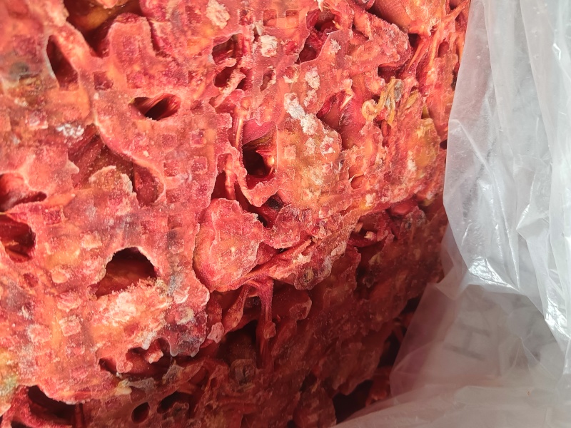 蛇饲料脱毛小鸡仔鸡肉，鸡毛
