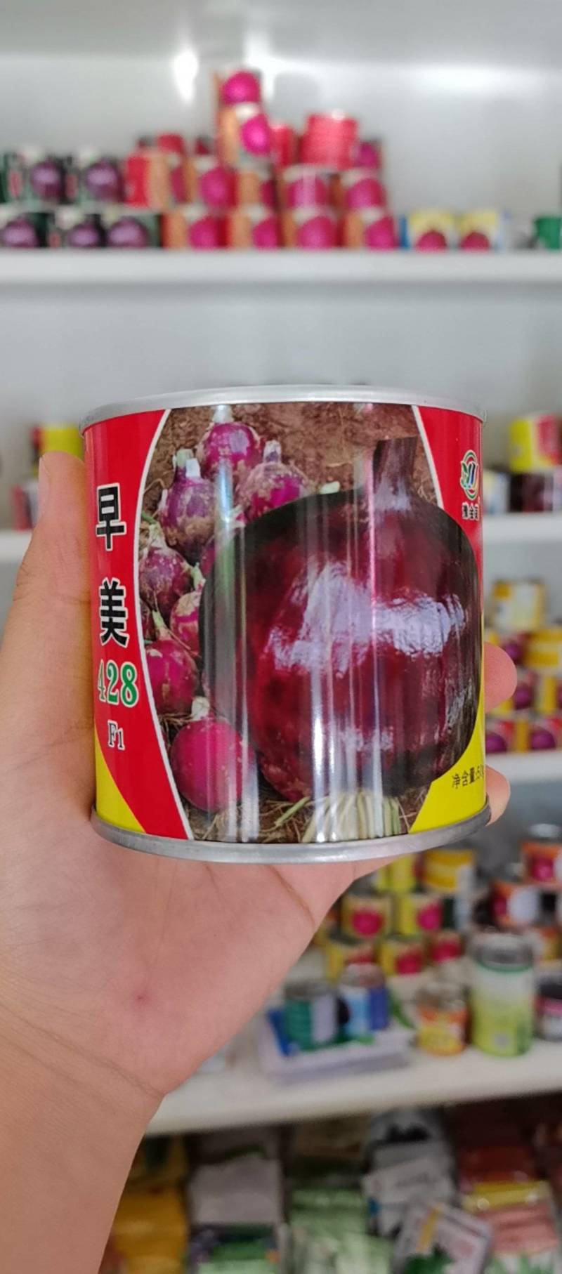 早美428极早熟紫红靓丽扁厚型长势旺整齐高产