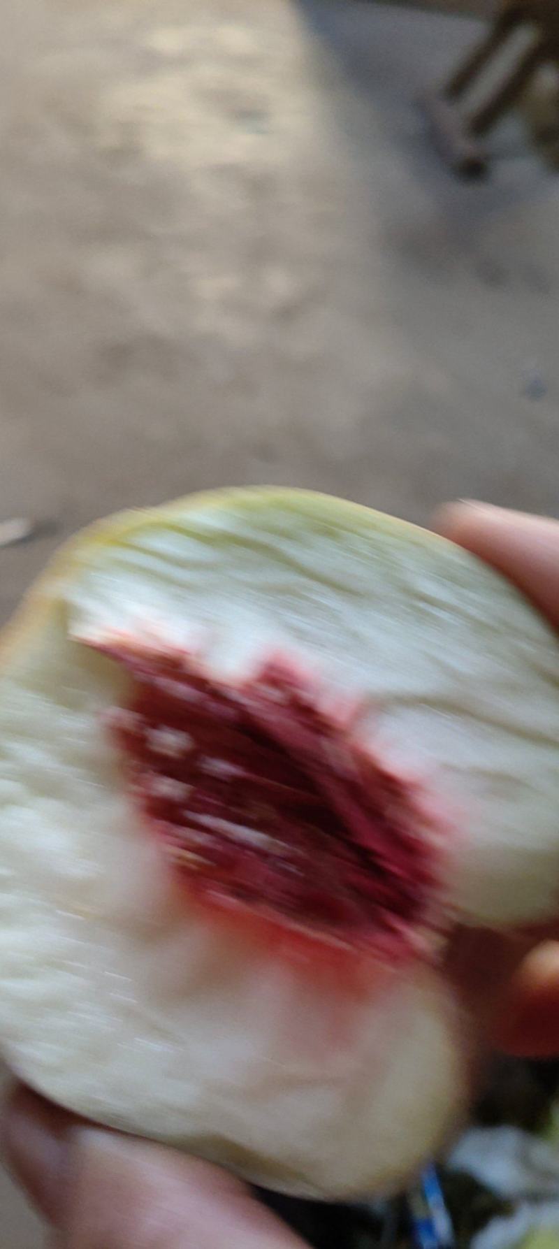 秋彤毛桃大量出售价格便宜，货源充足，离合脆甜