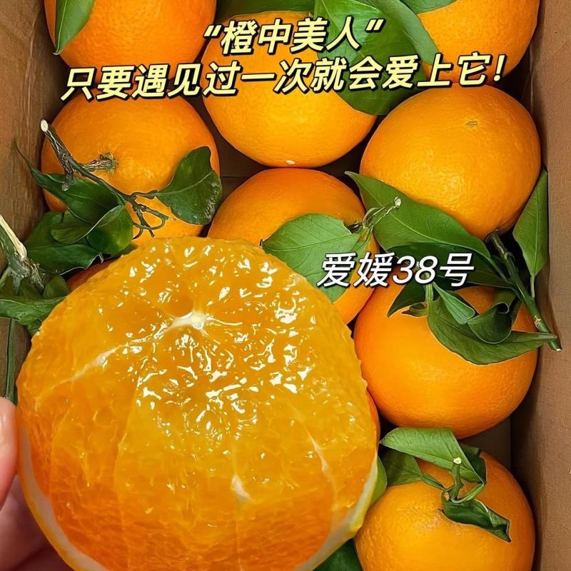 爱媛橙电商社区商超各大批发市场一手货源诚信经营