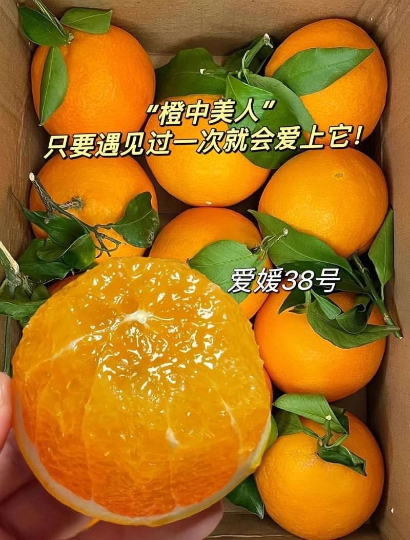爱媛橙电商社区商超各大批发市场一手货源诚信经营