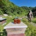 四川小凉山百花蜂蜜