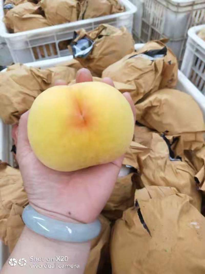 黄金桃
