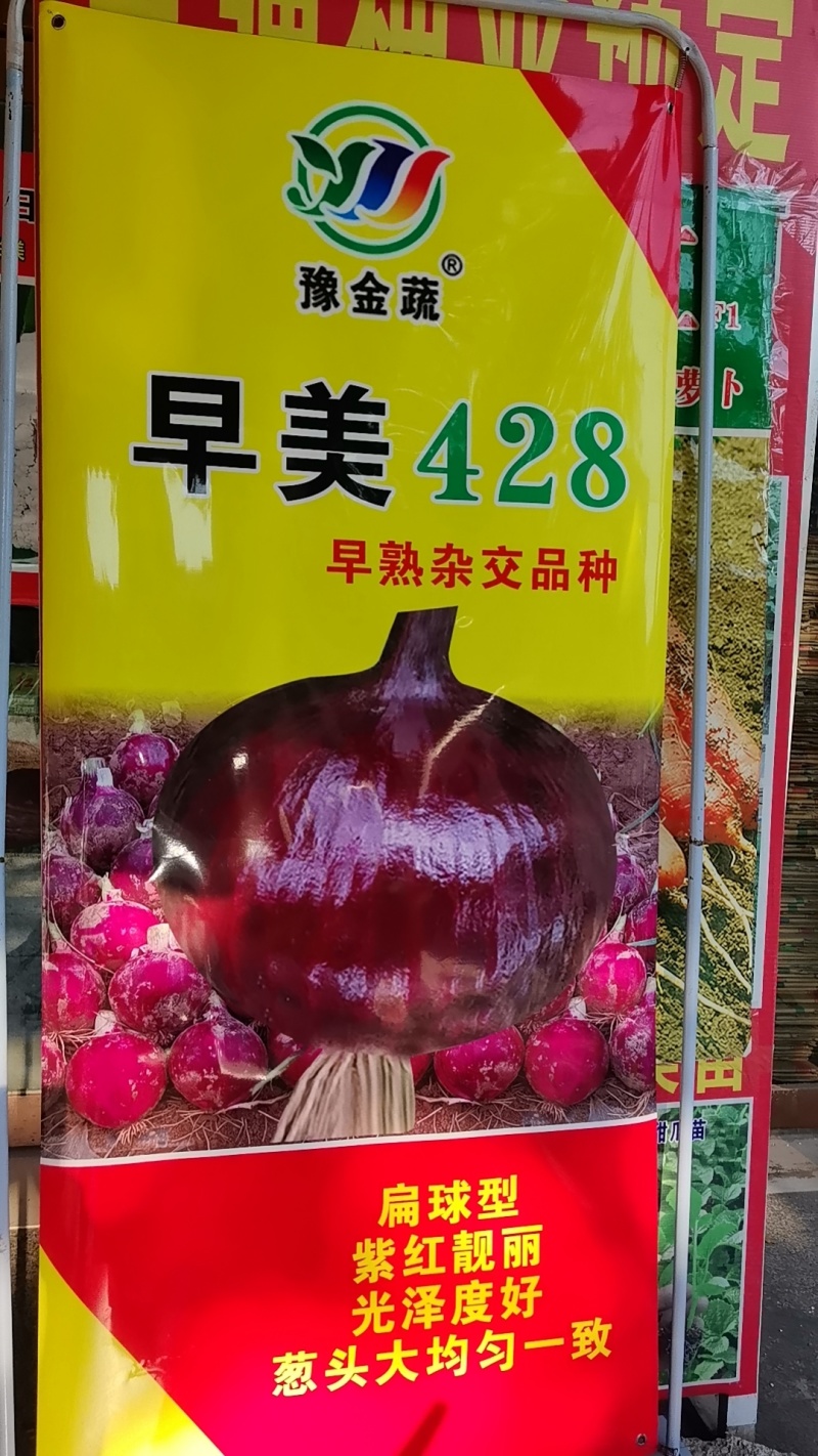 早美428极早熟紫红靓丽扁厚型长势旺整齐高产