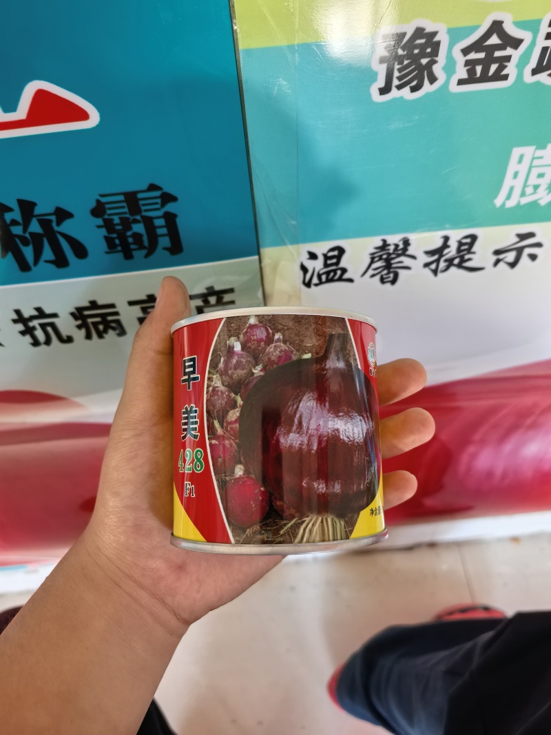 早美428极早熟紫红靓丽扁厚型长势旺整齐高产