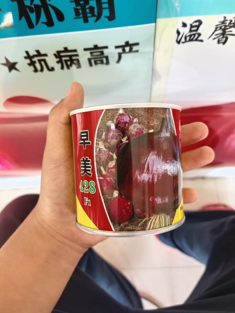 早美428极早熟紫红靓丽扁厚型长势旺整齐高产