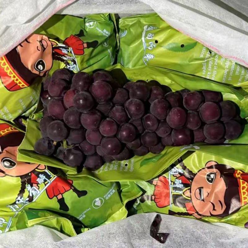 沪太葡萄