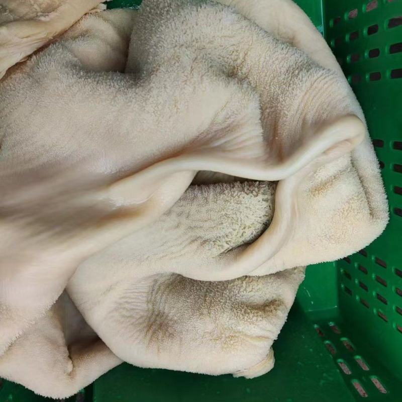 黄牛肚