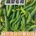 现摘现发黄瓜扭对接酱菜厂食品厂电商赶集社区团购诚信