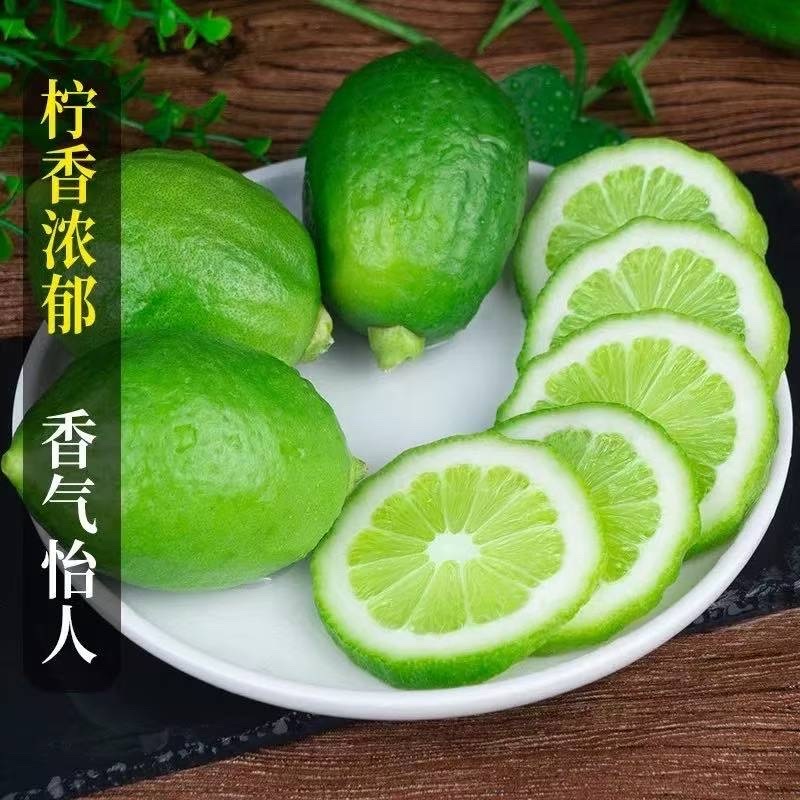 柠檬品质保证服务周到产地直发价格美丽