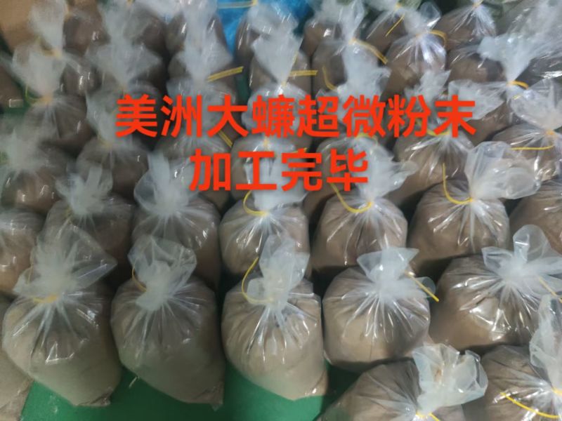 蟑螂美洲大蠊提取物，提取更多次比康复新液浓度高效果更好