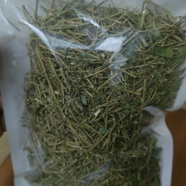 纯晒干相思藤鸡骨草宜得宝农业相思藤种植基地直供价格实惠