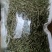 纯晒干相思藤鸡骨草宜得宝农业相思藤种植基地直供价格实惠