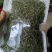 纯晒干相思藤鸡骨草宜得宝农业相思藤种植基地直供价格实惠