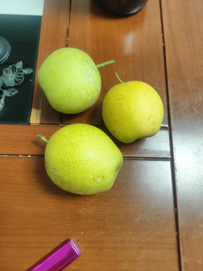 皇冠光梨