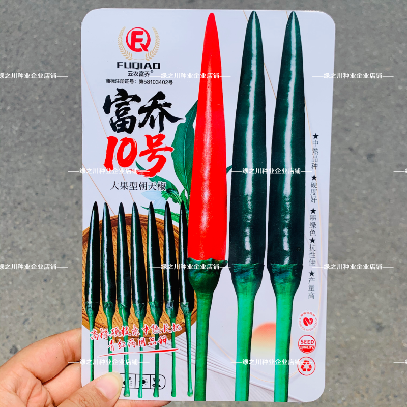 新品墨绿色朝天椒富乔10号朝天椒种子大号中熟青红两用辣椒