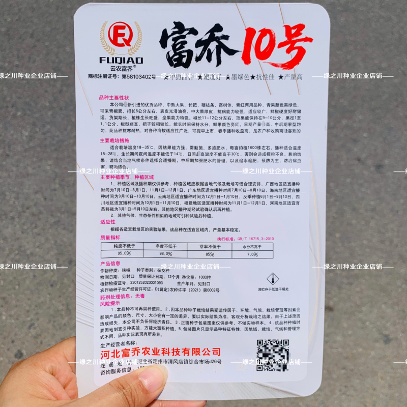 新品墨绿色朝天椒富乔10号朝天椒种子大号中熟青红两用辣椒