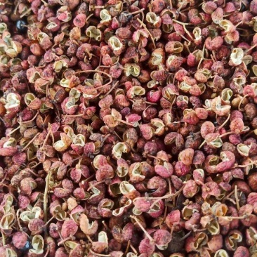 大红袍青花皮干花椒，大量上市，产地直发，品质保证服务周到
