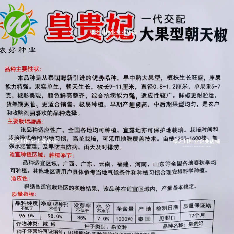 皇贵妃朝天椒种子大果型正宗朝天椒种籽高产抗病单生小米辣椒