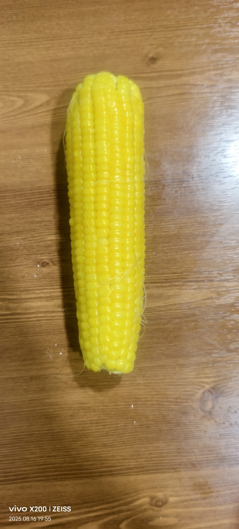 粘玉米，哈粘5号