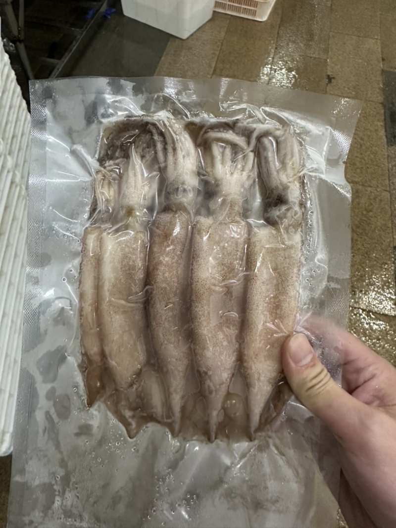 鱿鱼系列