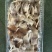 鱿鱼系列