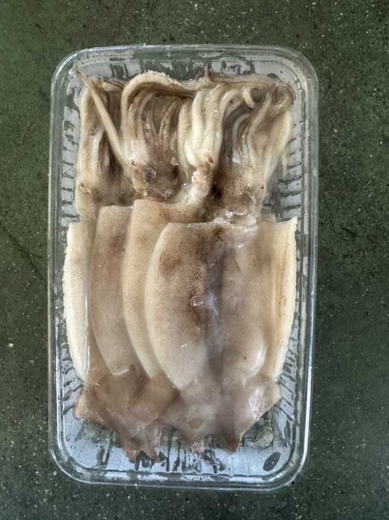 鱿鱼系列