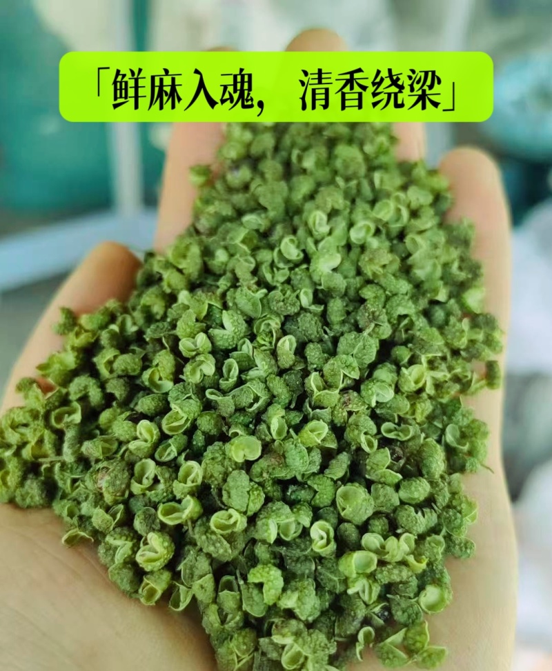 江津九叶青花椒，基地直供货源，货物充足，需要的联系
