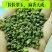 江津九叶青花椒，基地直供货源，货物充足，需要的联系
