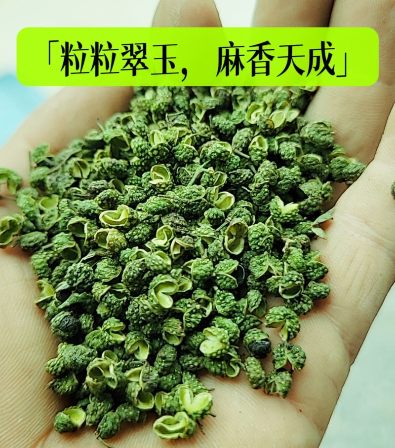 江津九叶青花椒，基地直供货源，货物充足，需要的联系