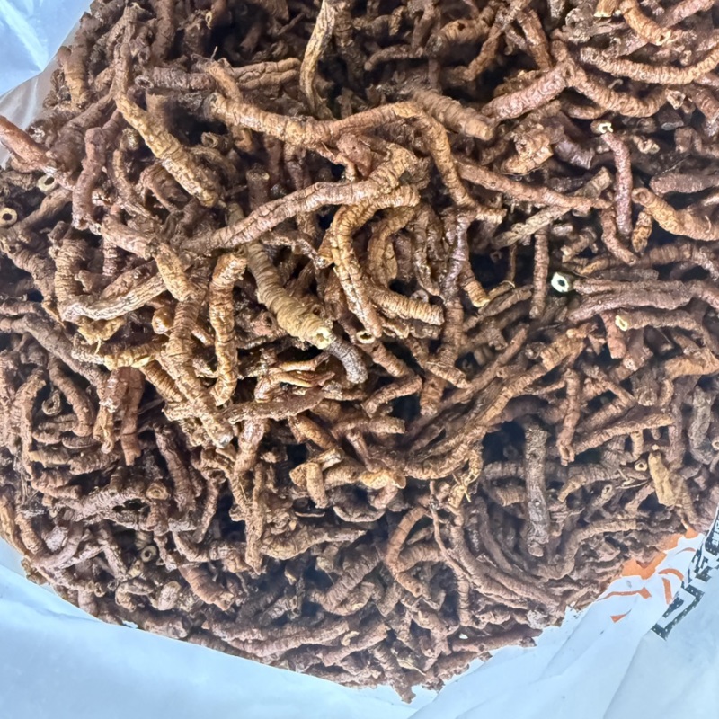 蜜炙远志一斤也是批发价格产地直售包邮