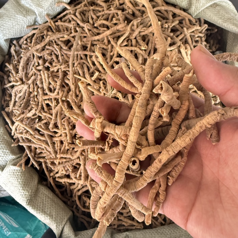 蜜炙远志一斤也是批发价格产地直售包邮