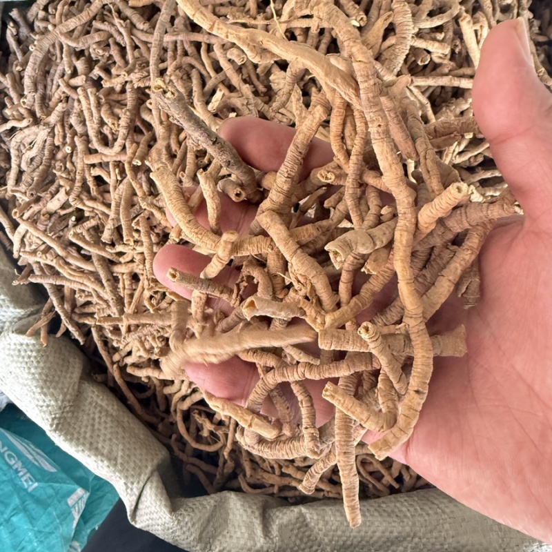 蜜炙远志一斤也是批发价格产地直售包邮