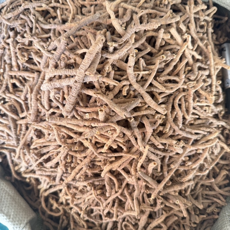 蜜炙远志一斤也是批发价格产地直售包邮